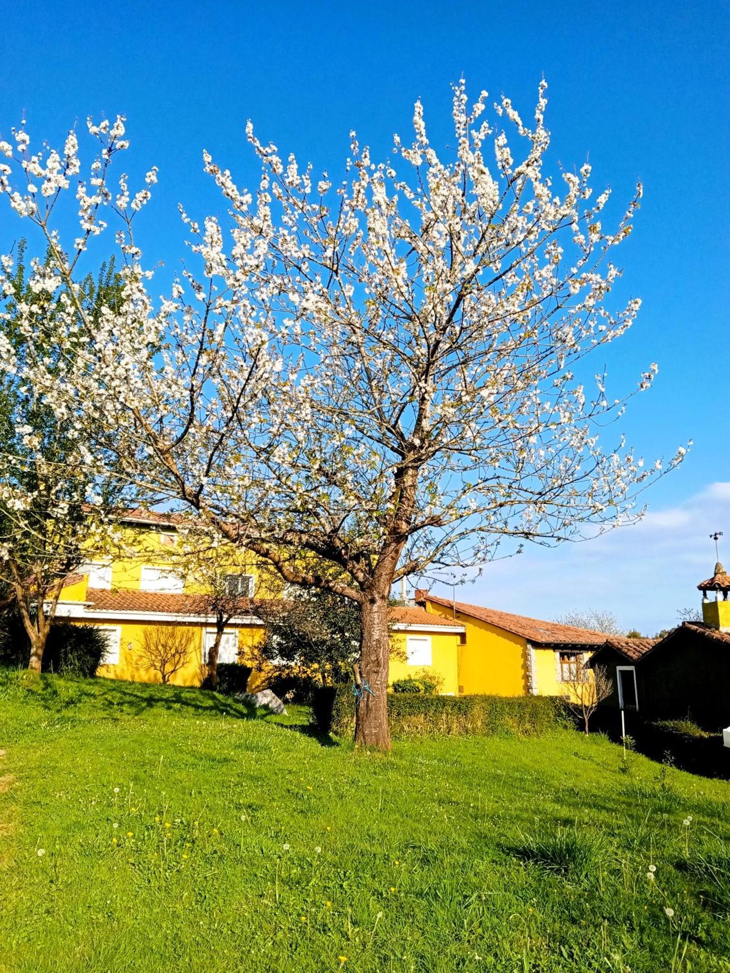 Apartamentos Mariaje Barro  Dış mekan fotoğraf